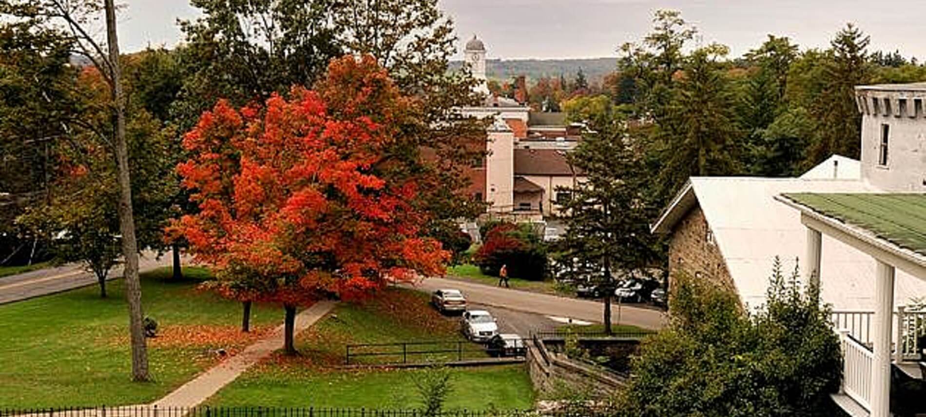 View of trees with fall foliage in a park overlooking a charming town.